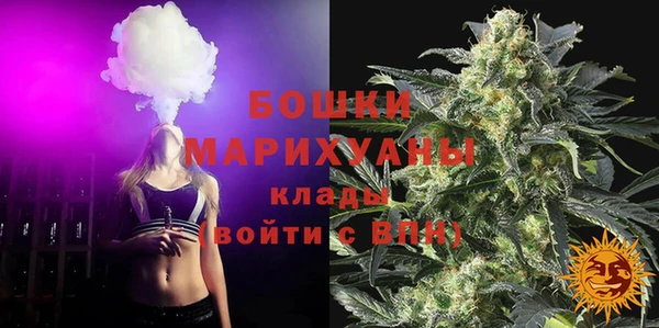 СК Ивангород
