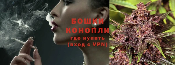 mdpv Бородино