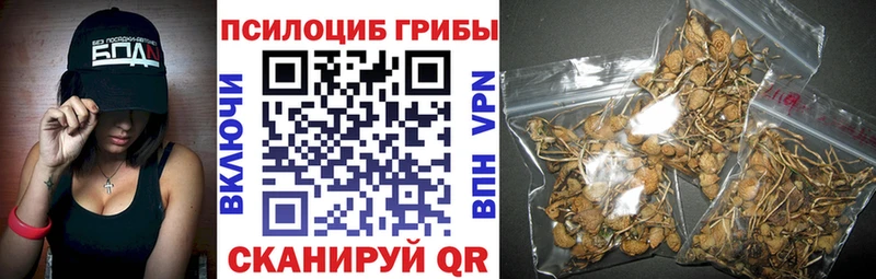 магазин    Купино  Галлюциногенные грибы мухоморы 